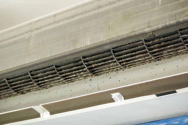 Best Air Duct Cleaning Near Me  in Springfield, IL